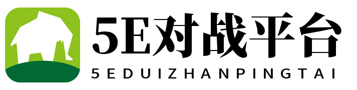 5E对战平台